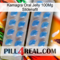 Kamagra Oral Jelly 100Mg Sildenafil 23